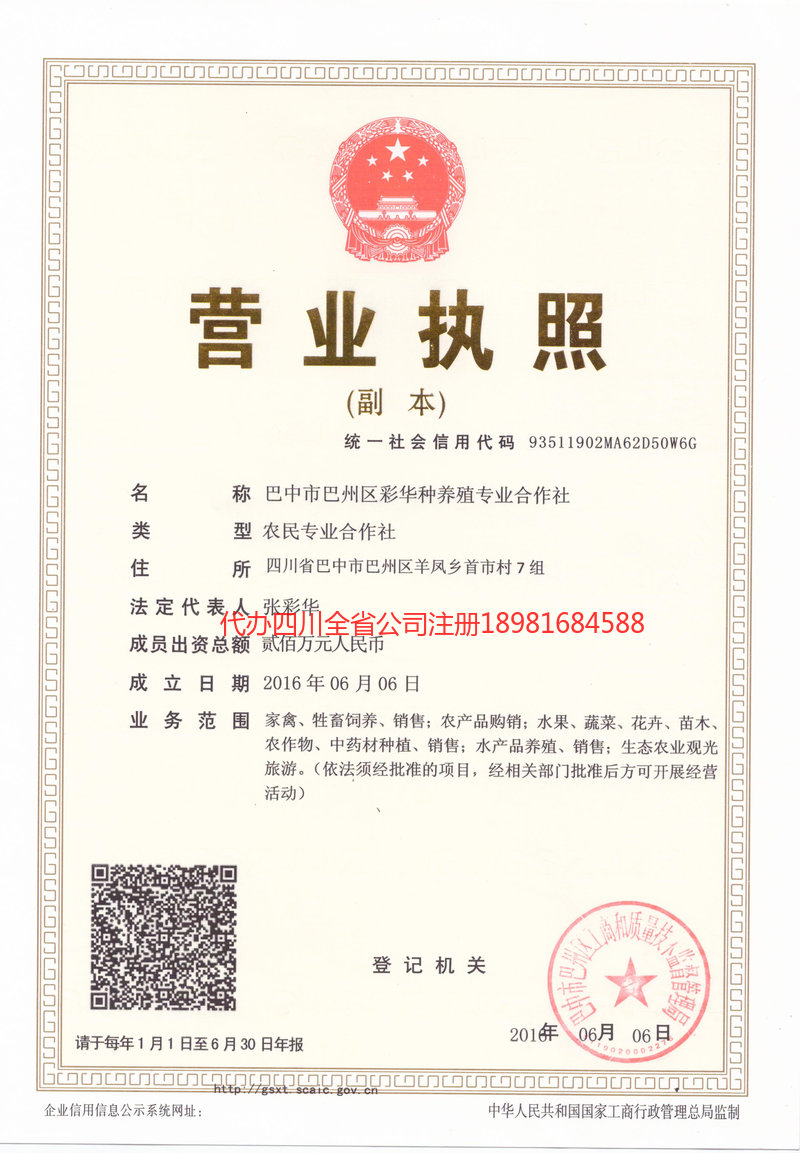 桦甸桦甸彩华种养殖专业合作社